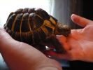 isn't he cute!