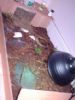 Indoor setup, You can see their bedroom.