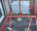 peanut & walnuts enclosure back in april.