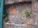 This end has a water bath, a hide made from slate and a campanula plant. It will eventually have a small agave and opuntia cactus added.