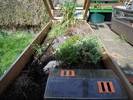 Secure outdoor setup for young Hermanns