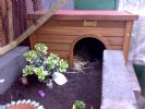front view of twigs new kennel
