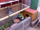 side view of twiglets new kennel home, the black light is a megaray flood light as she wont get any natural uvb under the pergola