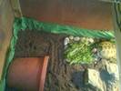Tilly's indoor tortoise table
