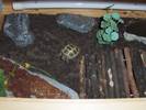 Pebble in his/her indoor table, few more home comforts still to be added!
