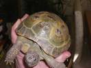 shell check please if poss