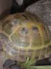 shell check please if poss