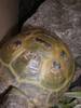 shell check please if poss