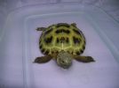 Ruby having her first bath at her new home.