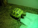 Exploring her new house!