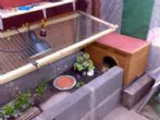 Run with small tortoise shelter, incorporating a mercury lamp - click to enlarge
