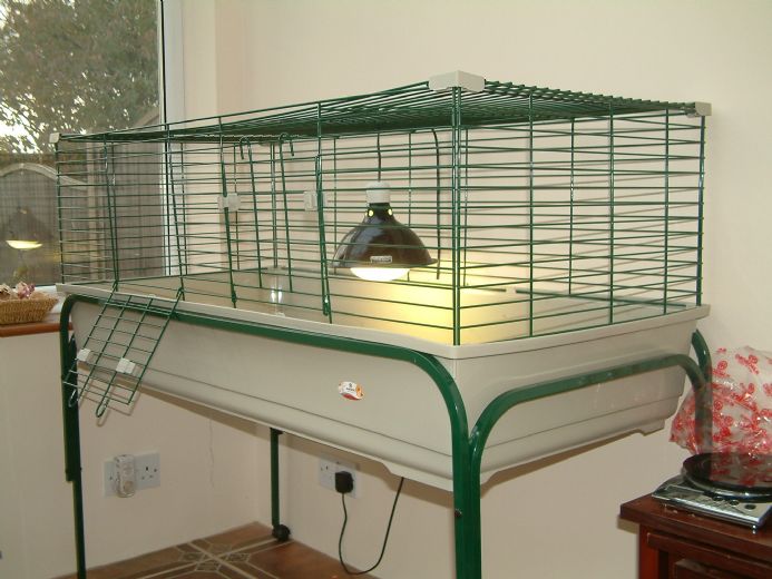 rabbit hutch for tortoise