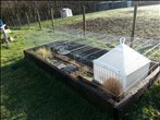 Nicola's juvenile enclosure with access to a cold-frame - click to enlarge