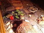 Gail's Tortoise Table with lots of different substrates - click to enlarge