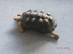 REHOMED!! - Redfoot Tortoise - Male - Age Unknown (Roger)